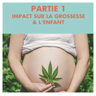 tuto_cannabis_et_grossesse.png